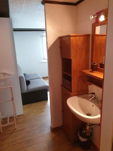 uma casa de banho com um lavatório e um WC num quarto em Le Petit Beurre de cacahuète et Le Café de Paris em Fully