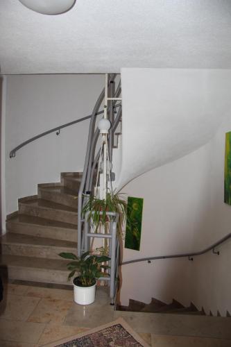 a staircase with a potted plant in a room at Hotel am Schloss Neuenstein in Neuenstein