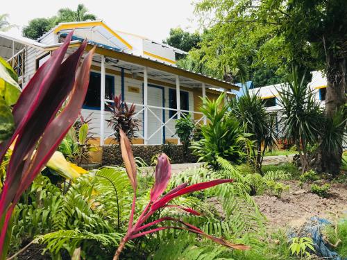 a house with a bunch of plants in front of it at Cabañas Agua Dulce in Providencia