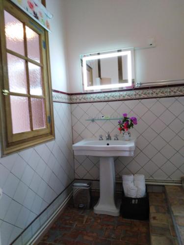 a bathroom with a sink and a mirror at Chateau de Linard in Linard