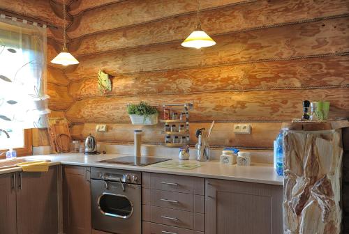 a kitchen with wooden walls and a sink and a stove at Dom pod sosnami in Gryżyna