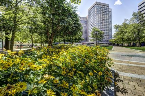 a garden of yellow flowers in a park with tall buildings at Harbor apartments Free indoor Parking in Baltimore