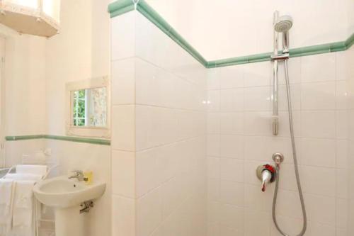 a bathroom with a shower and a sink at B&B La Limonaia in Pietrasanta
