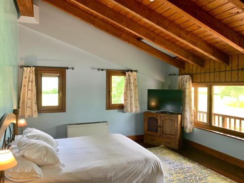 1 dormitorio con 1 cama, TV y ventanas en Usategieta, en Oiartzun