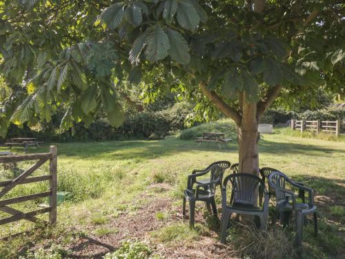 two benches sitting under a tree in a field at Kingfisher, 2 The Old Stables in Witney