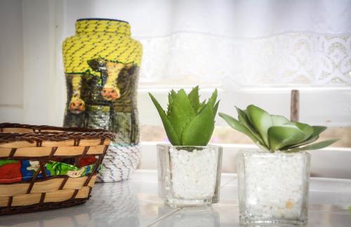 two glasses and a basket on a table with plants at Quinta dos Frutos in Santa Cruz da Graciosa