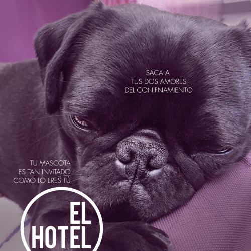 El Hotel – Photos 4
