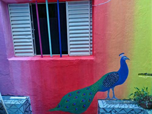 聖保羅的住宿－São Paulo Wanderlust G Hostel，建筑一侧孔雀的画