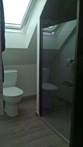 a bathroom with a toilet and a glass shower door at Hébergements indépendants chez l'habitant in Saint-Mars-dʼOutillé