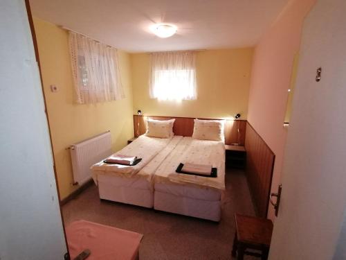 um quarto com uma cama grande e uma janela em Aleks Guest House em Samokov