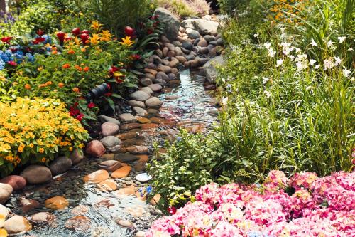 a garden with flowers and a stream of rocks at Crowne Plaza Changi Airport by IHG in Singapore