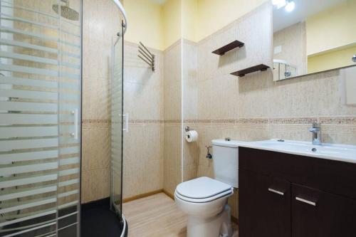 y baño con aseo, lavabo y ducha. en Cozy and well located apartment in the center of Seville, en Sevilla