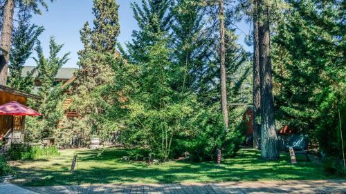 a yard with trees and a house at Eagle's Nest in Big Bear Lake