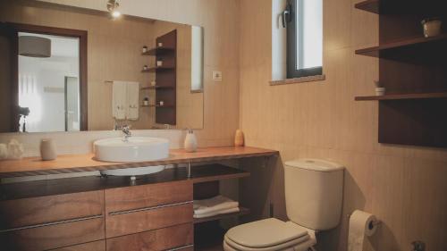 een badkamer met een toilet, een wastafel en een spiegel bij Quinta da Portela Douro in Armamar