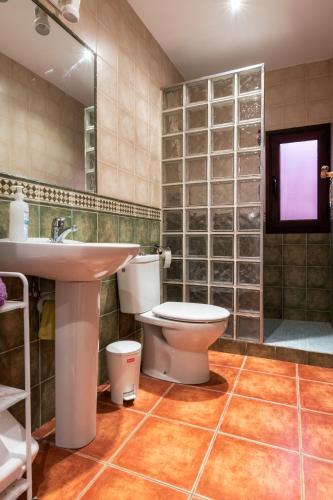 a bathroom with a toilet and a sink and a shower at El Rincón de Ramón in Cortijos Nuevos