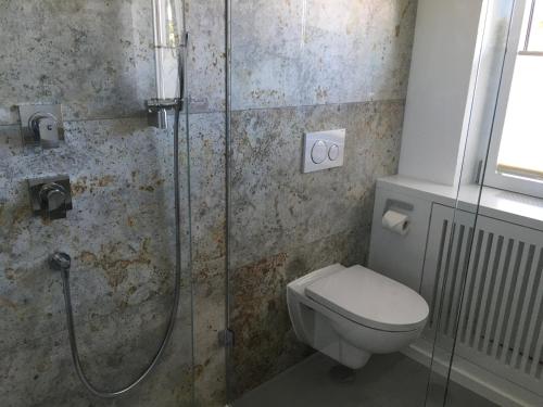 a bathroom with a toilet and a glass shower at Gasthof Fischerstüberl in Rottau