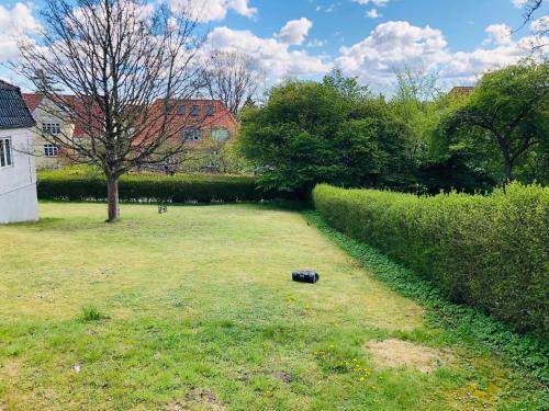a bottle in the grass in a yard at aday - Villa Firenze - 2 Bedrooms Bright Apartment in Aalborg
