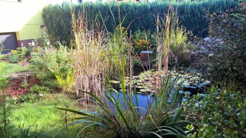 un jardín con un estanque con flores y plantas en Pension Andrea, en Lugau