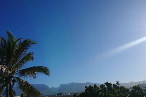 a palm tree with mountains in the background at Entre terre et mer in Saint-Pierre