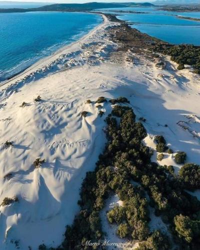 an aerial view of a beach with snow and trees at Casa Del CicloTurista in Santadi