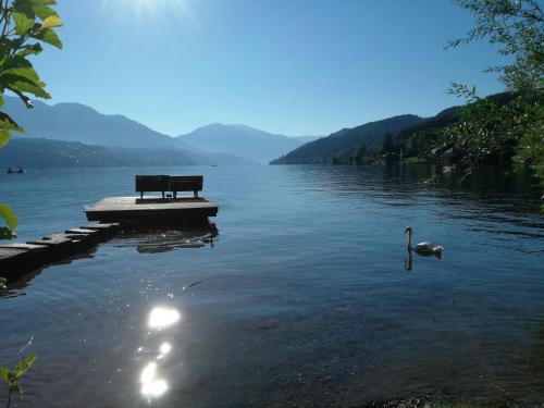 a bench sitting on a dock on a lake at Ferienwohnung Kerschbaumer in Seeboden