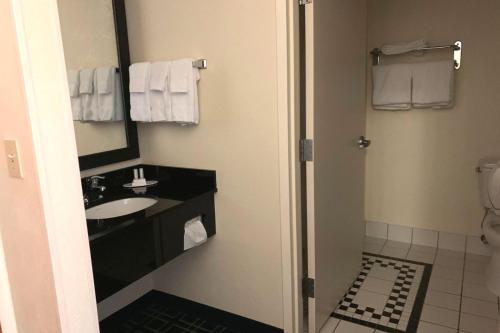 a bathroom with a sink and a mirror at Country Inn & Suites by Radisson, Fayetteville I-95, NC in Fayetteville