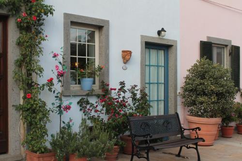 Κήπος έξω από το Casa Celeste