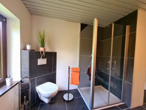 a bathroom with a shower and a toilet at Ferienhaus Heider in Darlingerode