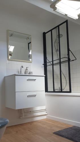 une salle de bain avec un lavabo et un miroir dans l'établissement Bel appartement F2 centre ville, au Havre