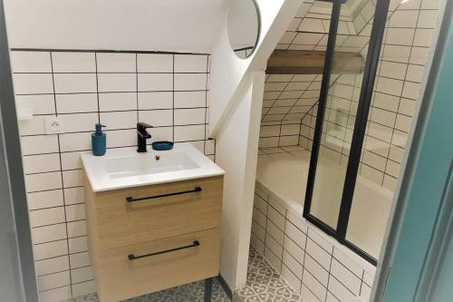 a small bathroom with a sink and a shower at Gite de l observatoire 6 personnes in Tours