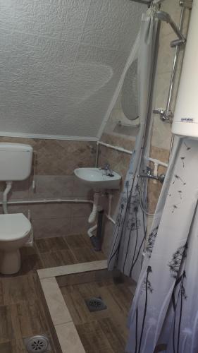 un bagno con lavandino e WC di Cottage Bosaca a Žabljak