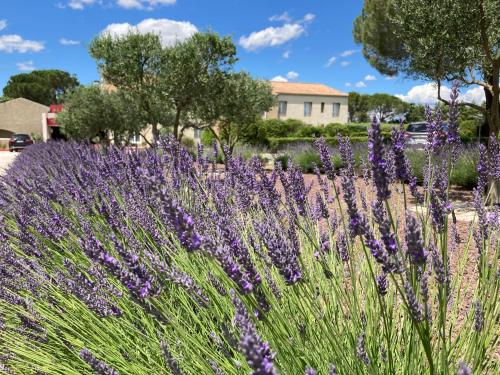 Gallery image of Logis Hôtel Restaurant Les Aubuns in Caissargues