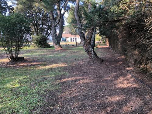a path in a park with trees and grass at Logis Hôtel Restaurant Les Aubuns in Caissargues