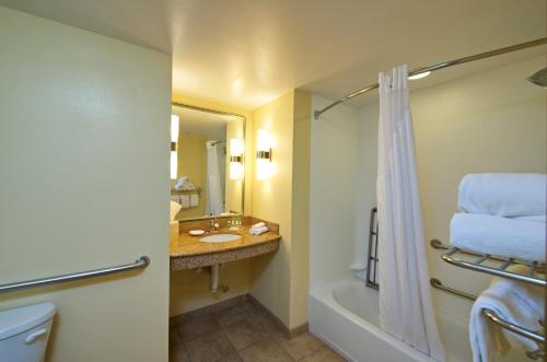 Ett badrum på Holiday Inn Titusville/Kennedy Space Center, an IHG Hotel