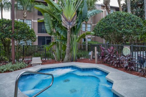 Hilton Vacation Club Polynesian Isles Kissimmee photo 37
