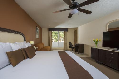a bedroom with a large bed with a ceiling fan at Gamma Cuernavaca Puerta Paraiso in Cuernavaca