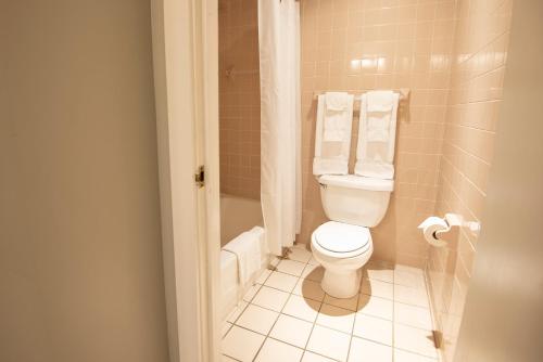 a bathroom with a toilet and a shower with towels at Carter Caves State Resort Park in Olive Hill