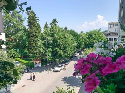 vistas a una calle de la ciudad con coches y árboles en Korca Central Flat, en Korçë