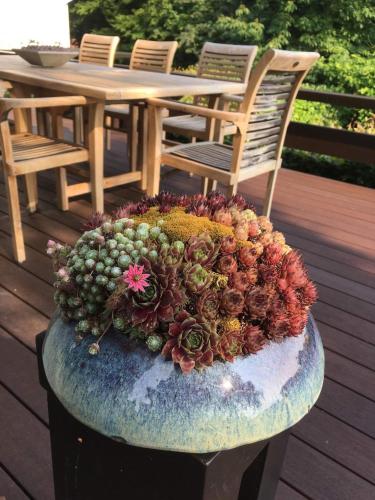a large planter with a bunch of plants in it at Villa Amoulogies in Amougies