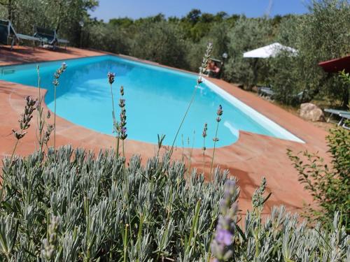 a swimming pool in a garden with plants at Agriturismo "Crocino in Chianti" in Gaiole in Chianti