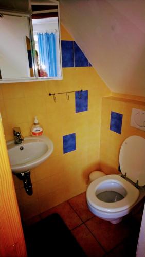 a bathroom with a toilet and a sink at Vila Nela in Podhájska