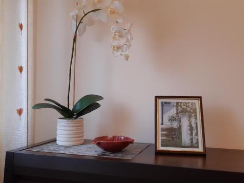 a table with a plant in a vase and a picture at Akord Apartment Centrum with FREE PARKING in Pärnu