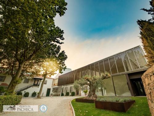 a building with a tree in front of it at The Wine House Hotel - Quinta da Pacheca in Lamego