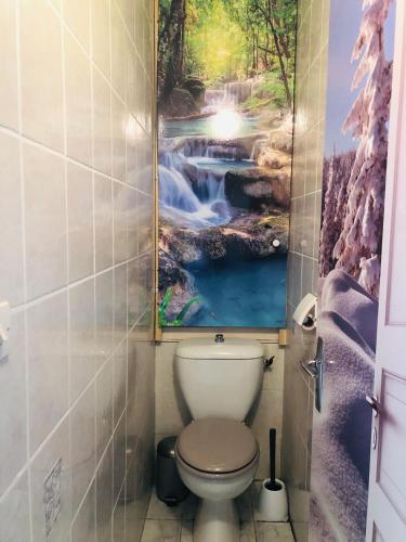 La salle de bains est pourvue d'une peinture en cascade au-dessus des toilettes. dans l'établissement Appartement au pied des pistes- Piau Engaly, à Aragnouet
