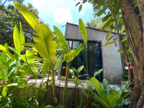 a house surrounded by trees and plants at BeachBox@Koh Сhang in Ko Chang