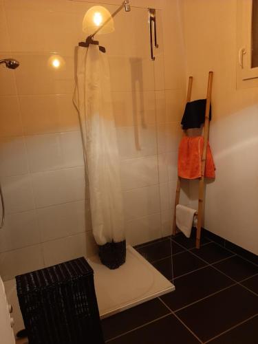 een douche met een plastic gordijn in de badkamer bij CHAMBRE CHEZ L'HABITANT in Saint-Vallier