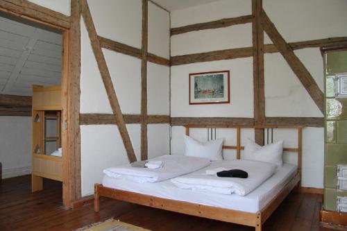 1 dormitorio con 1 cama grande en una habitación en Gutshaus Thorstorf FeWo Groß Schwansee en Warnow