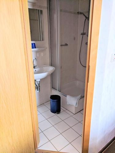 W łazience znajduje się prysznic i umywalka. w obiekcie Weingut Pension Hammes-Krüger w mieście Ellenz-Poltersdorf