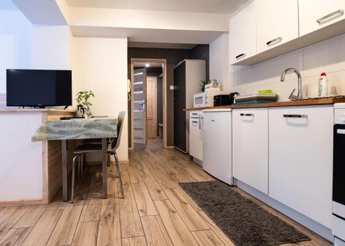 Kuchyň nebo kuchyňský kout v ubytování Bagry Rooms