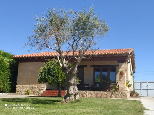 uma árvore em frente a uma casa em Refugio con Casitas Infantiles em Zamora